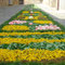 Infiorata del Corpus Domini 2007, 10 giugno