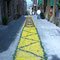 Infiorata del Corpus Domini 2008, 25 maggio