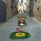 Infiorata del Corpus Domini 2007, 10 giugno