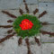 Infiorata del Corpus Domini 2007, 10 giugno