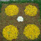 Infiorata del Corpus Domini 2007, 10 giugno