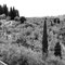 Foto di Filippo Secciani, 2014