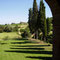 B&B Podere la Pievina
