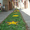 Infiorata del Corpus Domini 2007, 10 giugno