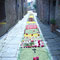 Infiorata del Corpus Domini 2008, 25 maggio