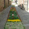 Infiorata del Corpus Domini 2007, 10 giugno