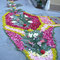 Infiorata del Corpus Domini 2008, 25 maggio