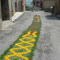 Infiorata del Corpus Domini 2007, 10 giugno