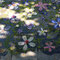 Infiorata del Corpus Domini 2014, 22 giugno