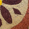 Infiorata del Corpus Domini 2014, 22 giugno