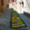 Infiorata del Corpus Domini 2007, 10 giugno
