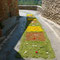 Infiorata del Corpus Domini 2007, 10 giugno