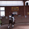 Basisgruppe Galopp-Schritt-Schritt