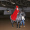 St. Martin mit Pferd - Danke an Birgitt Stoffel und Vulcano
