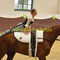 Melinda Baulig - Vielen Dank an vaulting-photos (Julia Friedrich) für das tolle Bild!