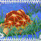「泳ぐ亀」和紙に岩絵具、色鉛筆 14cm×18cm