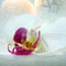 Orchidee mit Kerzen