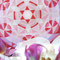 Mandala und Orchideen