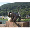  Heidelberg