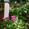 Gartenimpressionen