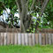 Gartenimpressionen