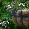 Gartenimpressionen