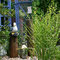 Gartenimpressionen