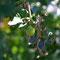 Gartenimpressionen