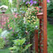 Gartenimpressionen