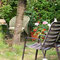 Gartenimpressionen