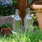 Gartenimpressionen