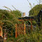 Gartenimpressionen