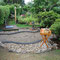 Gartenimpressionen