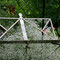Gartenimpressionen