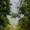 Gartenimpressionen