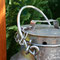 Gartenimpressionen