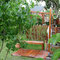 Gartenimpressionen