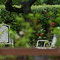 Gartenimpressionen