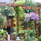 Gartenimpressionen