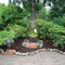 Gartenimpressionen