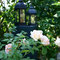 Gartenimpressionen