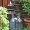 Gartenimpressionen