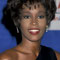 1991 - American Cinema Awards