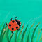 Coccinelle