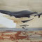 Mer I - peinture sur papier - 50 x 30 cm