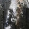 Ombre d'arbre sur la pierre
