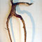 Allegria – Branche modèle, 2011.