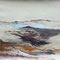 Mer IV - peinture sur papier - 50 x 30 cm