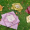 Fleurs