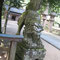∞　熊野大社